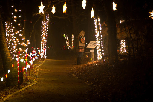 Holiday Lights and Décor