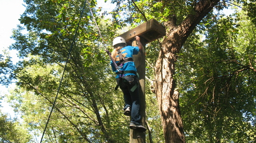 Book a Heard Ropes Course Adventure for Your Group