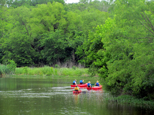 Seasonal Wetland Canoe Trails