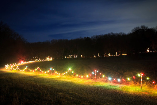 Holiday lights and décor accentuate nature trail