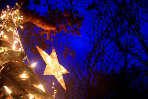 Holiday lights and décor accentuate nature trail